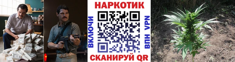 Хочу наркоту Арск A PVP Марихуана МЕТАДОН Псилоцибиновые грибы mega как войти Меф Гашиш