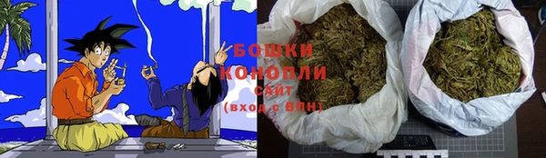 ECSTASY Долгопрудный