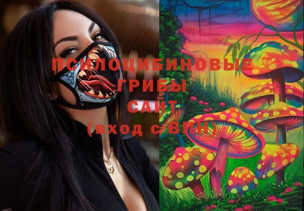 метадон Армянск